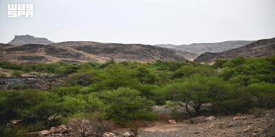 Wadi Haras: A Green Summer Retreat in Najran’s Mountain Highlands